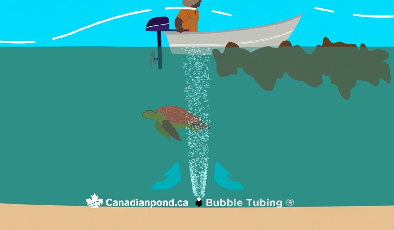 Démonstration d'une ligne de bulles de Bubble Tubing